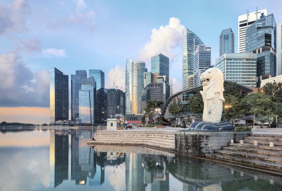 Singapore shows up the ills of Hong Kong’s haphazard land planning